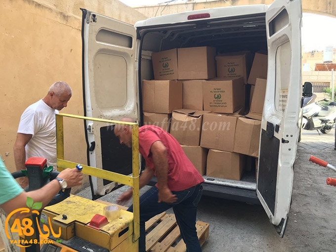 torold yaffa (1).jpg